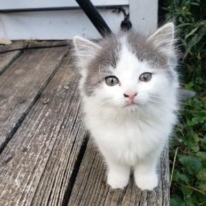 Meet your Posher, Dave